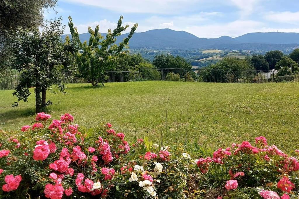 Il Casale Degli Ulivi- Splendido Casale Panoramico Con Piscina A 30 Min Da Roma Gra Villa Calvi dell' Umbria Exterior photo