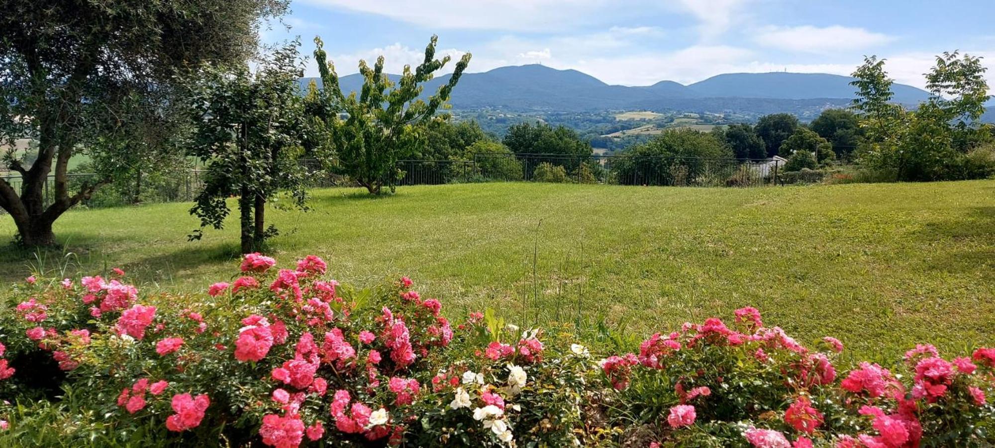 Il Casale Degli Ulivi- Splendido Casale Panoramico Con Piscina A 30 Min Da Roma Gra Villa Calvi dell' Umbria Exterior photo