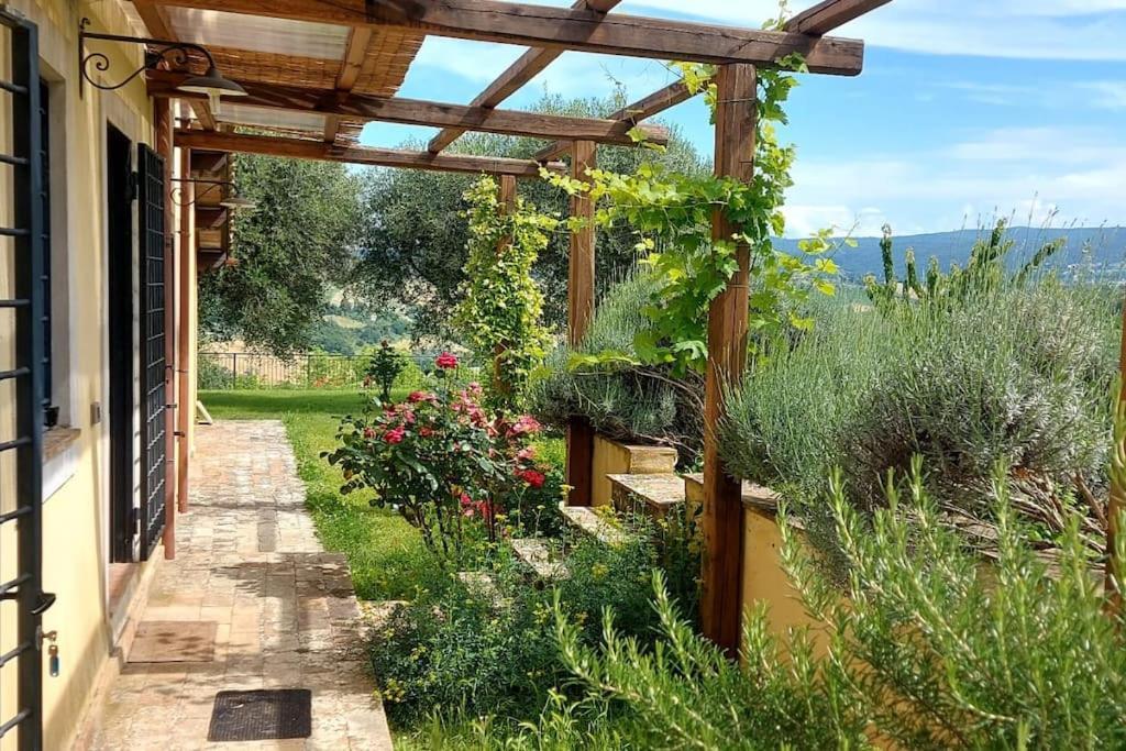 Il Casale Degli Ulivi- Splendido Casale Panoramico Con Piscina A 30 Min Da Roma Gra Villa Calvi dell' Umbria Exterior photo