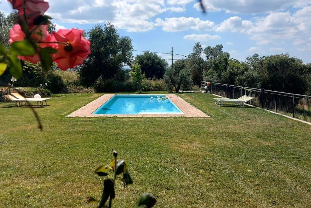 Il Casale Degli Ulivi- Splendido Casale Panoramico Con Piscina A 30 Min Da Roma Gra Villa Calvi dell' Umbria Exterior photo